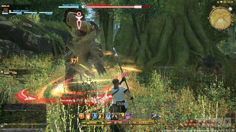 FINAL FANTASY XIV: A Realm Reborn PLAYER .